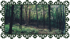 a photo of a forest with a lacy border